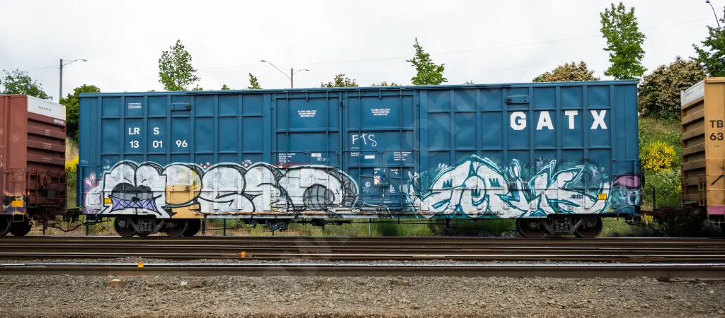 LRS130196 - NORTH-AMERICA