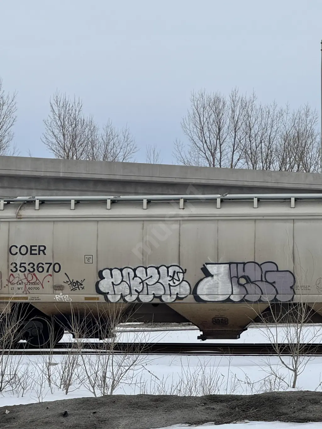 COER353670 - NORTH-AMERICA