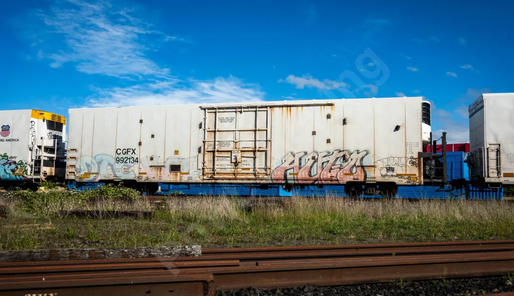 CGFX992134 - NORTH-AMERICA