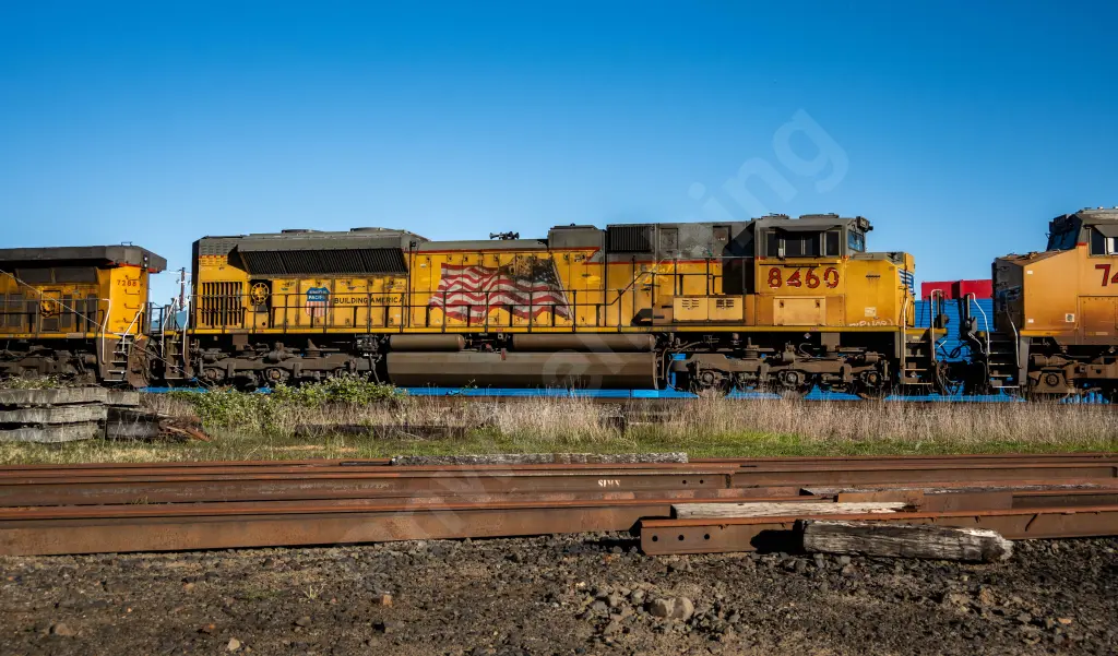 UP8460 - NORTH-AMERICA