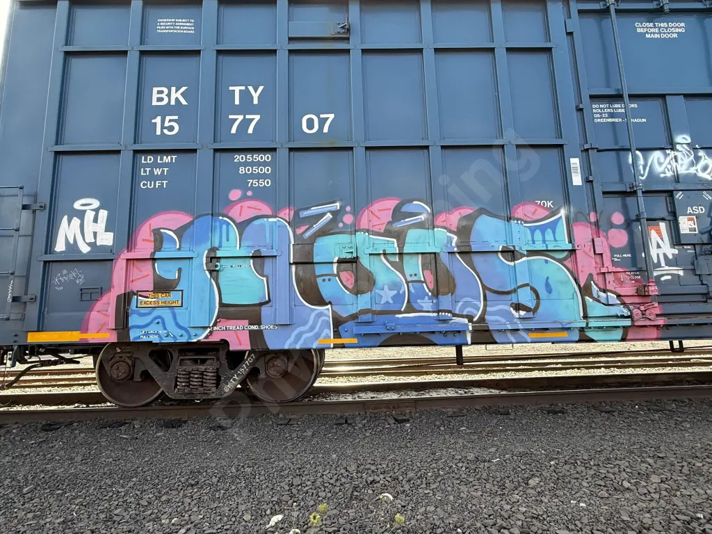 Train photo