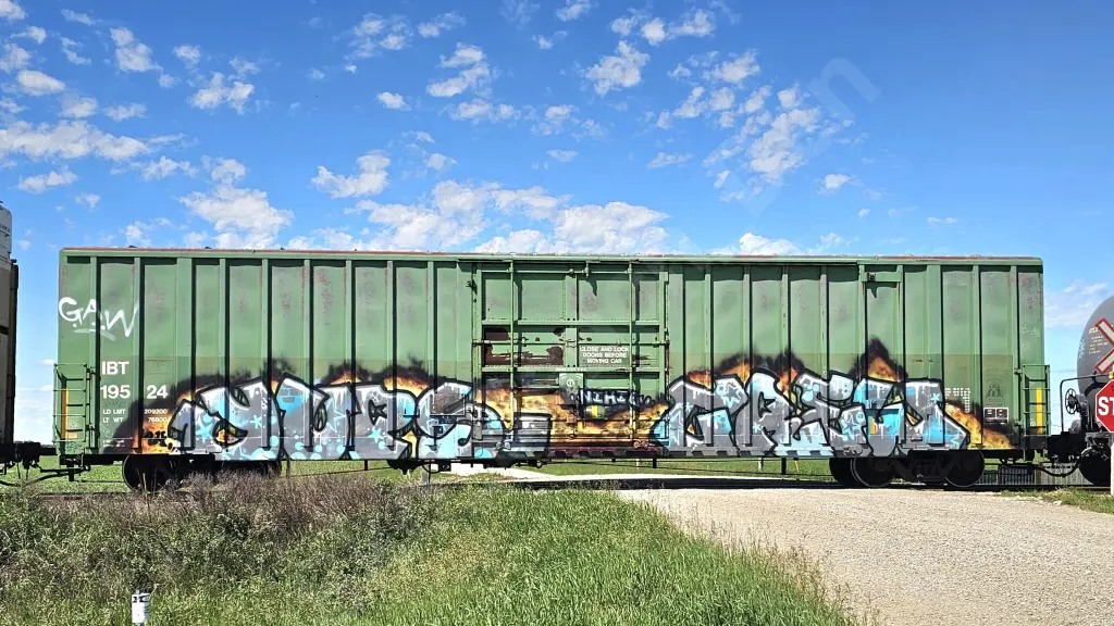 IBT19524 - NORTH-AMERICA