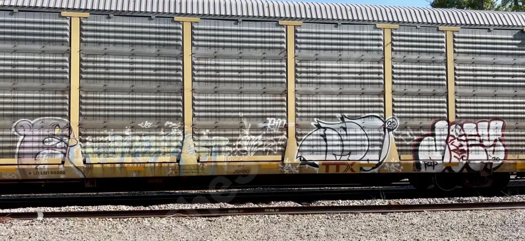 TTGX986450 - NORTH-AMERICA
