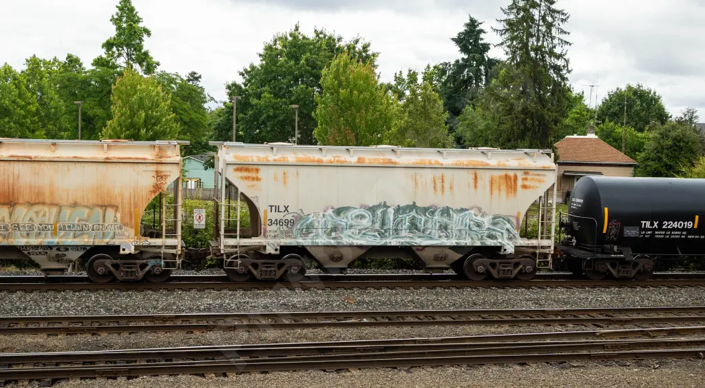 TILX34699 - NORTH-AMERICA