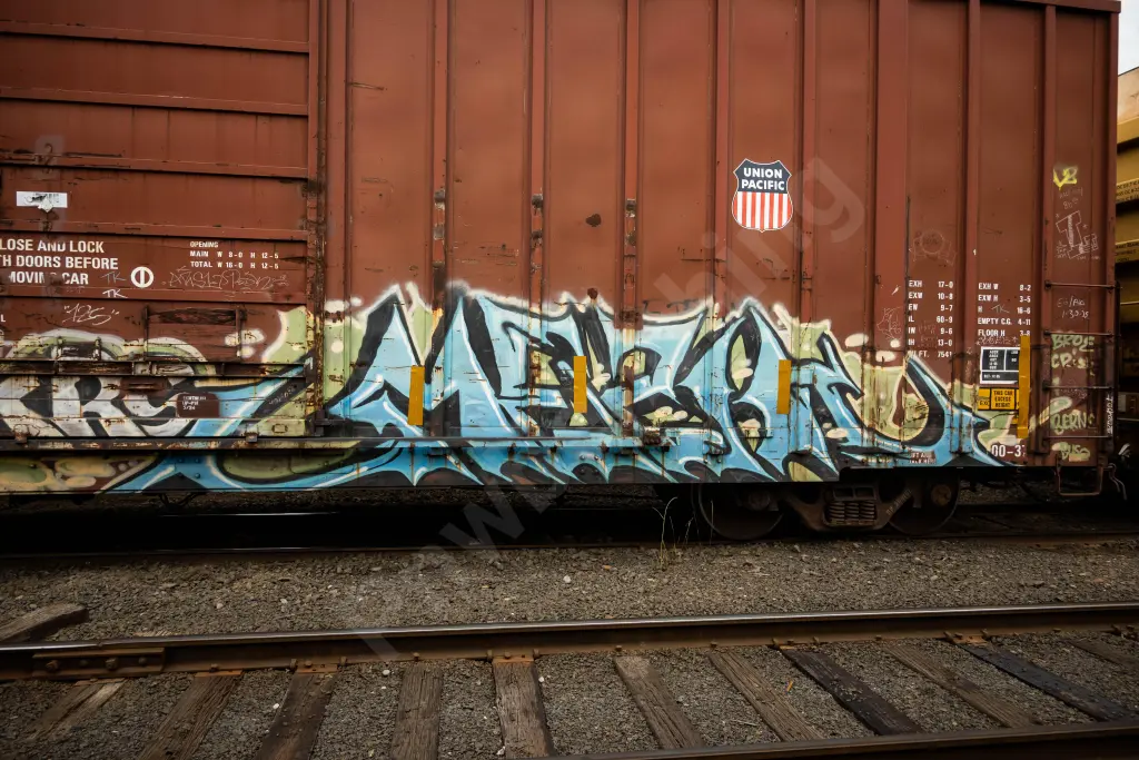 UP369161 - NORTH-AMERICA