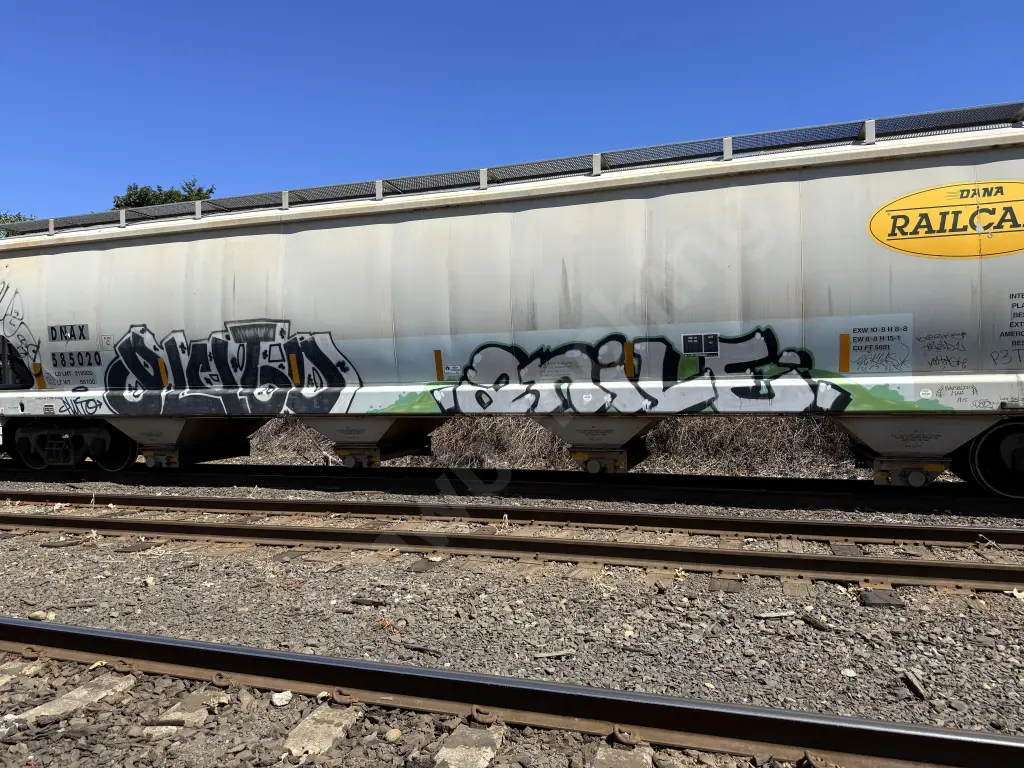 DNAX585020 - NORTH-AMERICA
