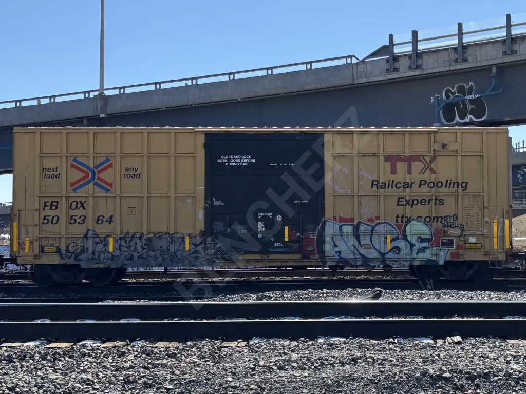 FBOX505364 - NORTH-AMERICA