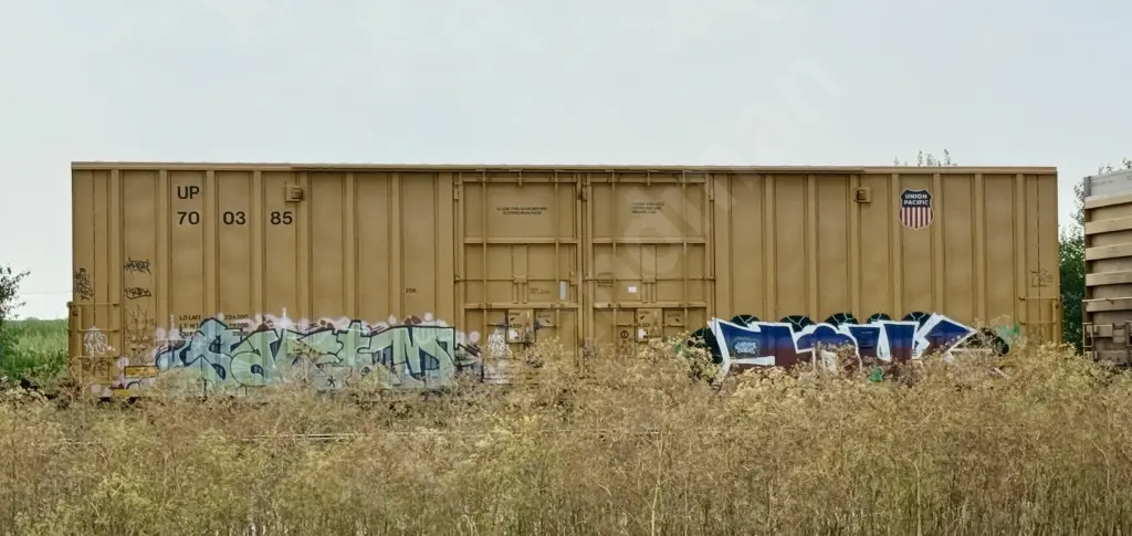 UP700385 - NORTH-AMERICA