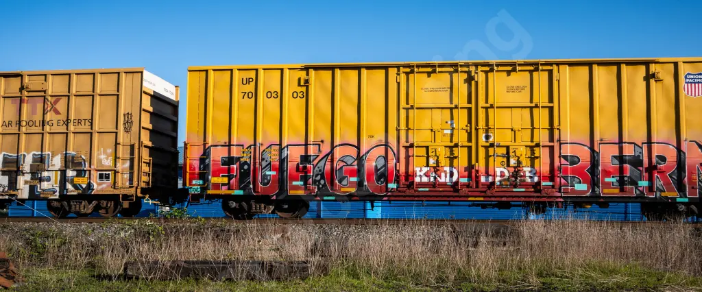 UP700303 - NORTH-AMERICA