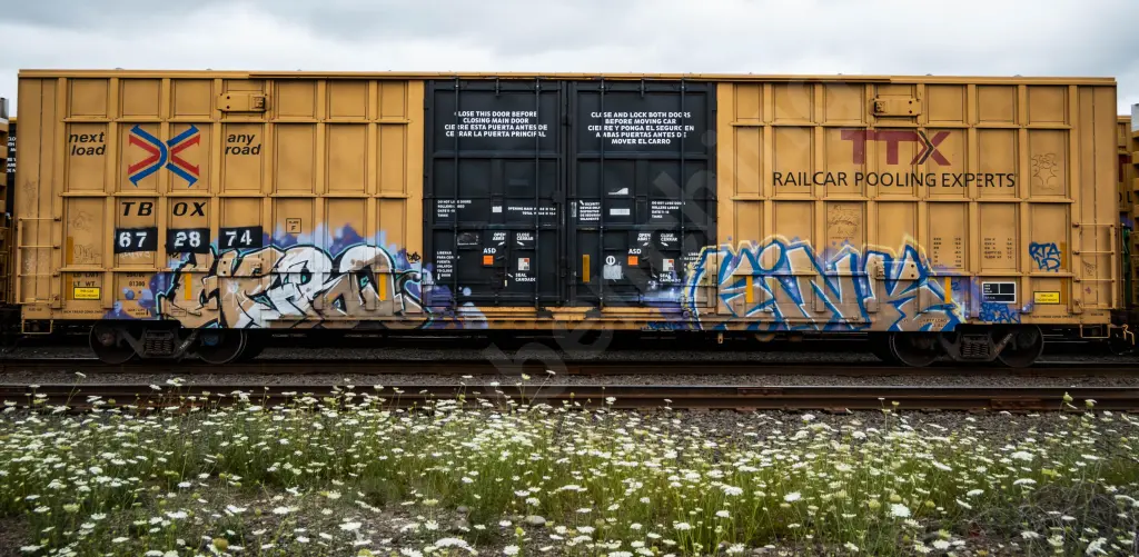 TBOX672874 - NORTH-AMERICA
