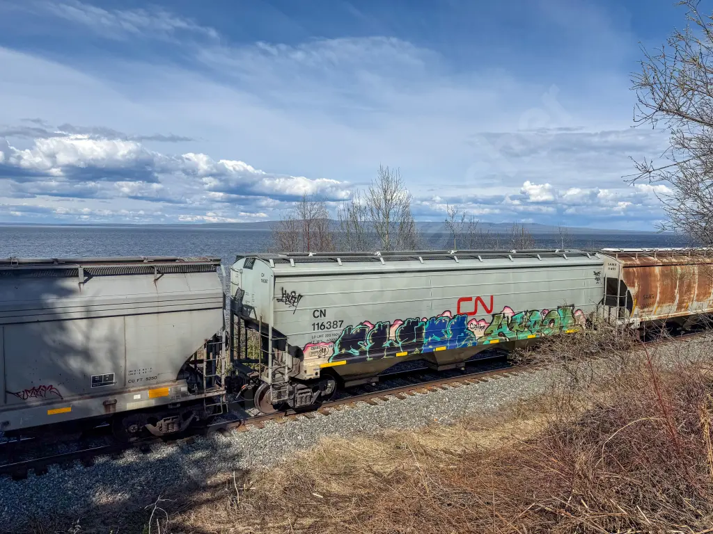 CN116387 - NORTH-AMERICA