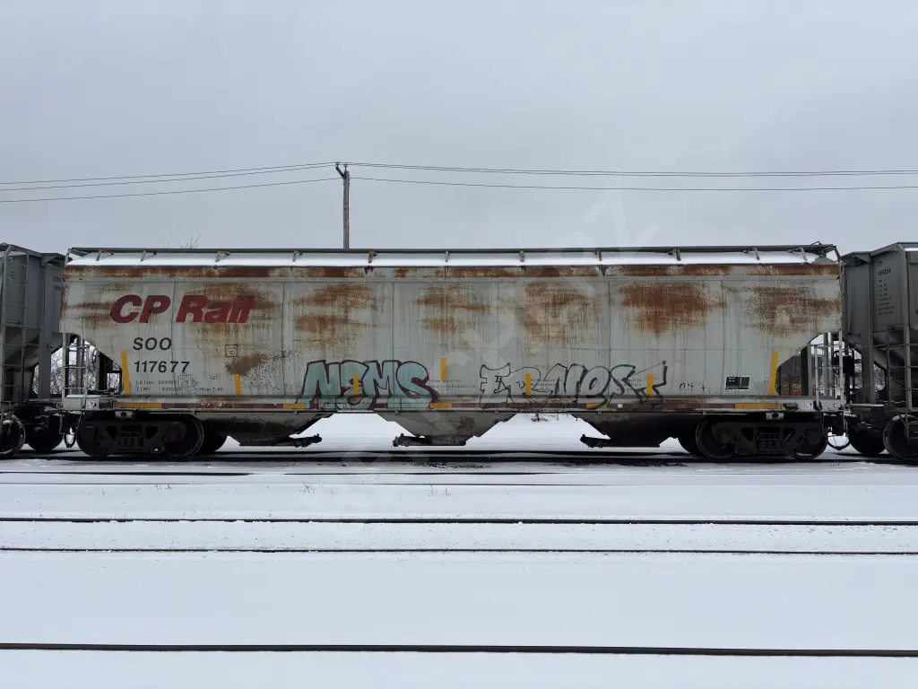 SOO117677 - NORTH-AMERICA