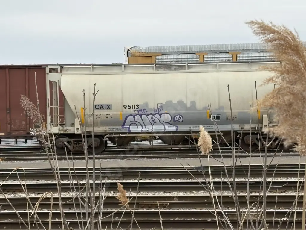 CAIX95113 - NORTH-AMERICA
