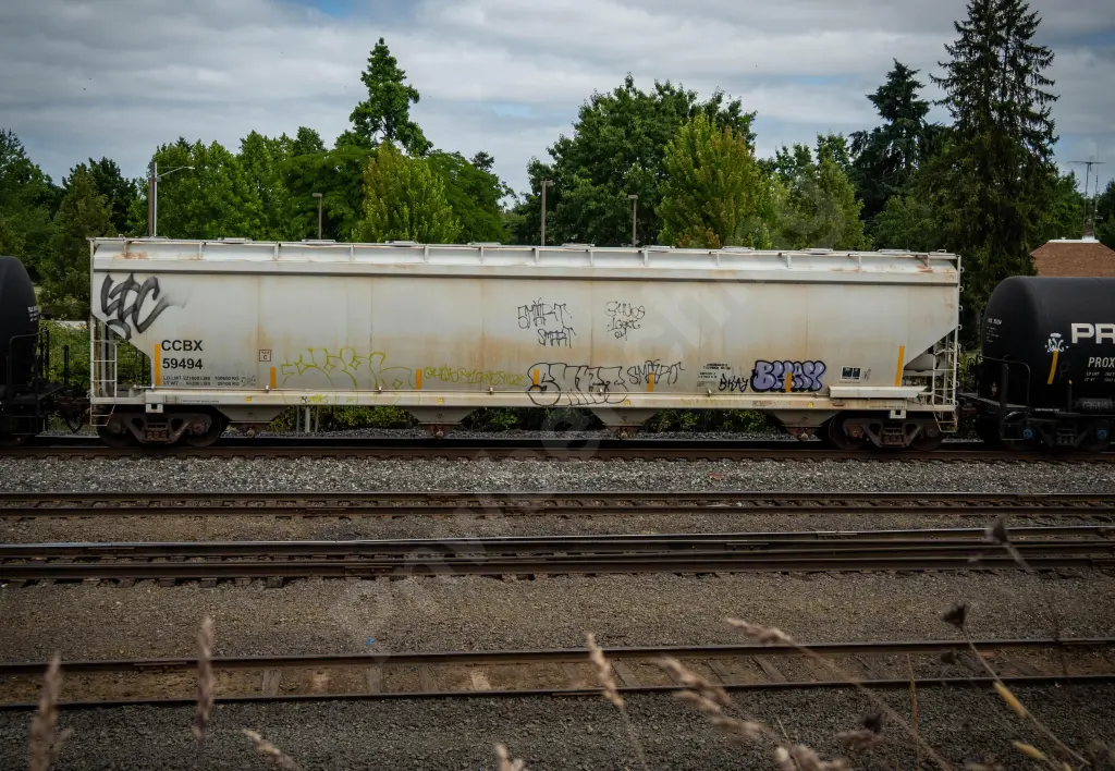 CCBX59494 - NORTH-AMERICA