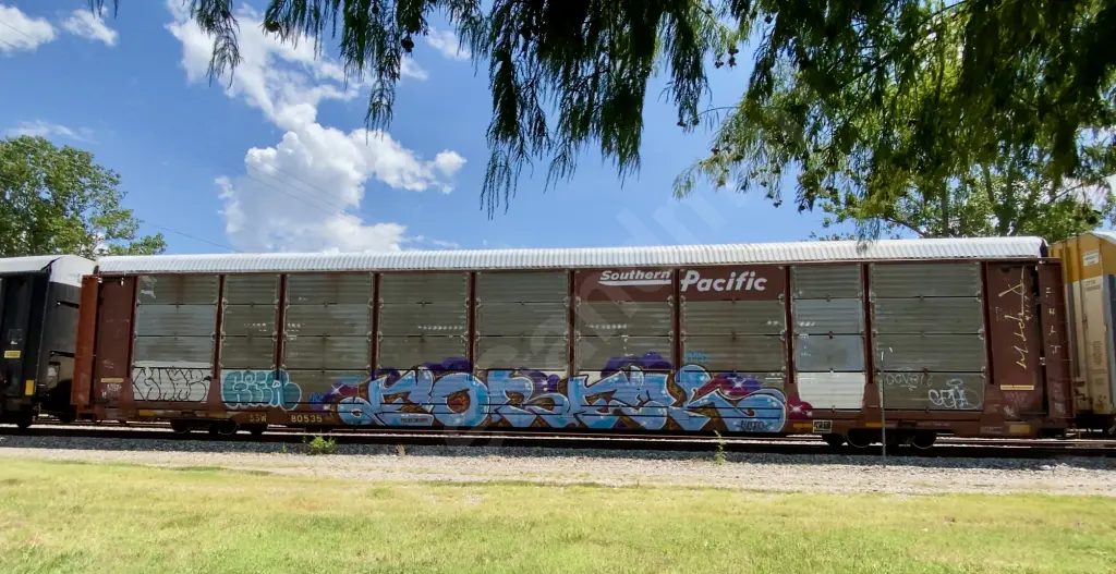SSW80535 - NORTH-AMERICA