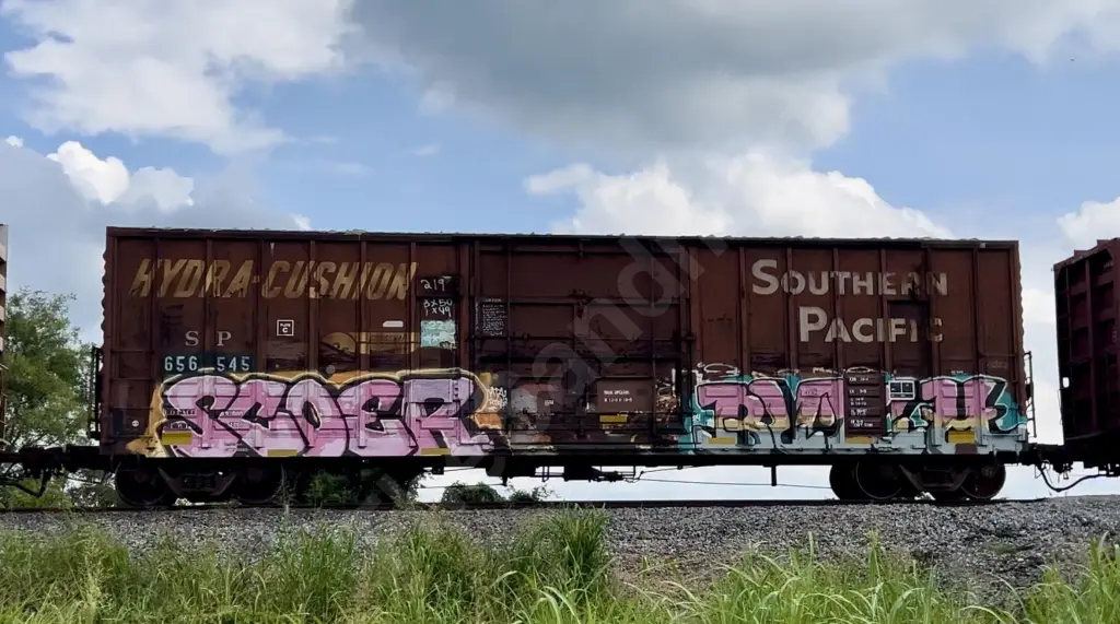 SP656545 - NORTH-AMERICA