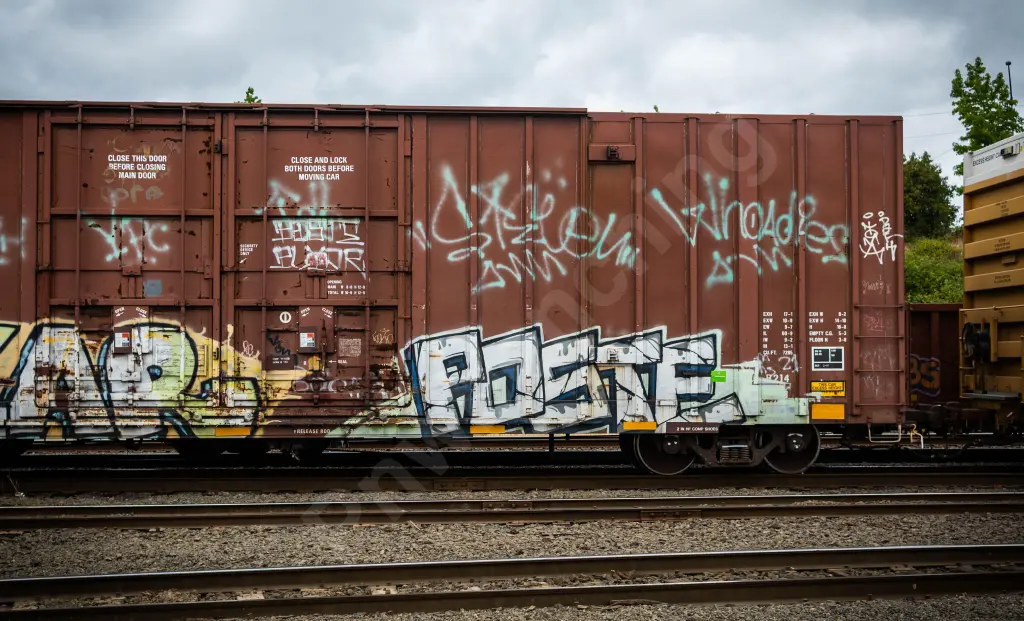 NS469595 - NORTH-AMERICA
