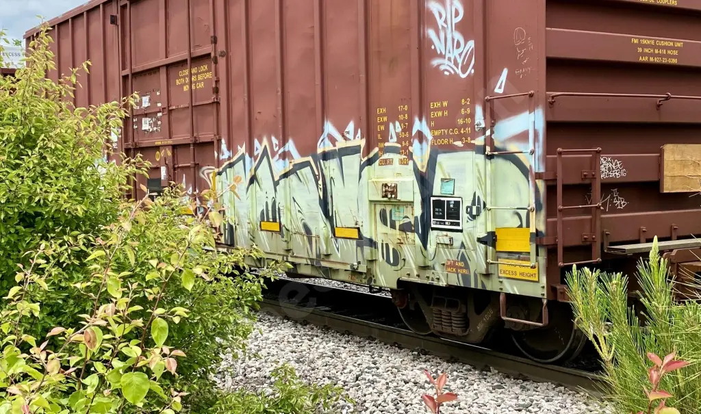 Train photo