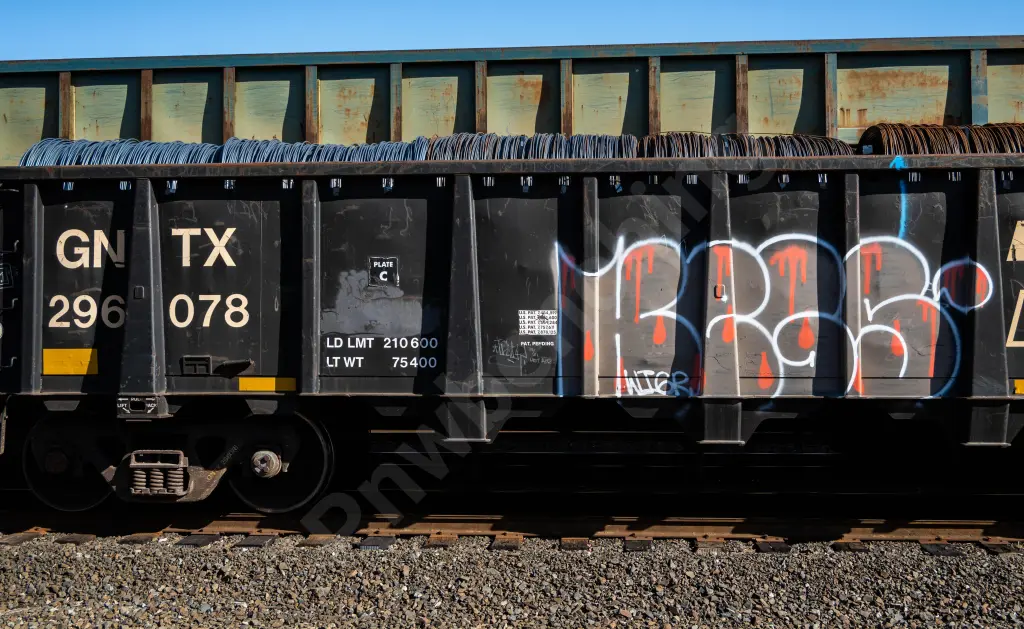 GNTX296078 - NORTH-AMERICA