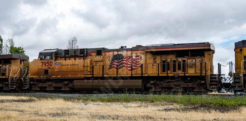 UP7950 - NORTH-AMERICA