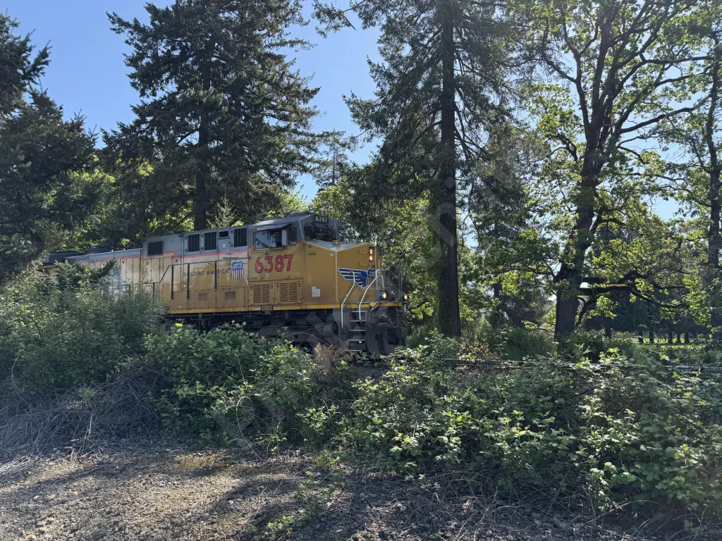 UP6387 - NORTH-AMERICA
