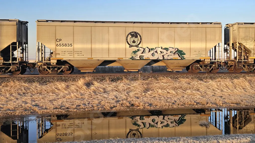 CP655835 - NORTH-AMERICA