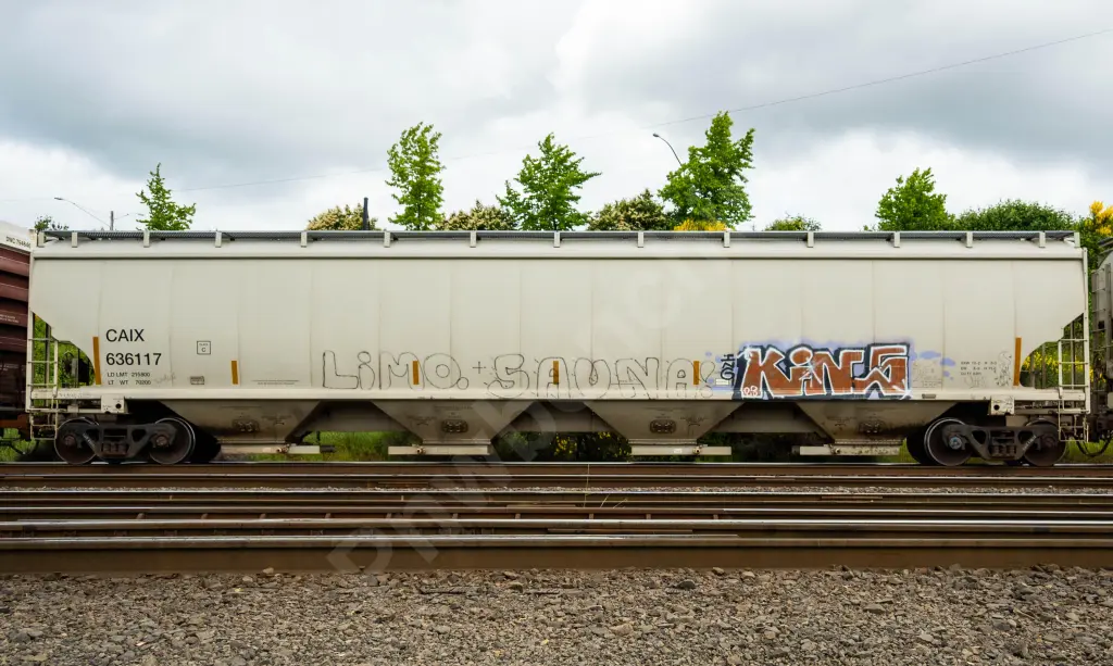 CAIX636117 - NORTH-AMERICA
