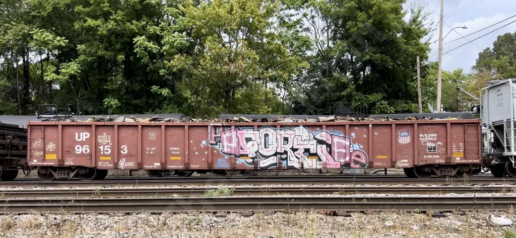 UP96153 - NORTH-AMERICA