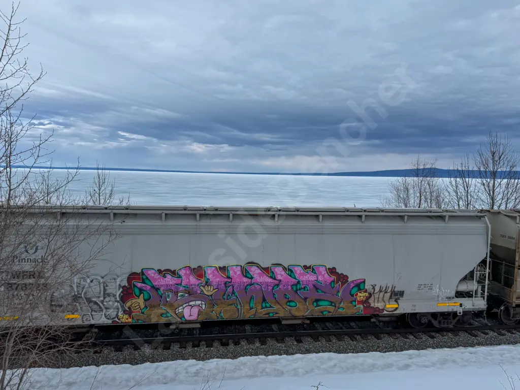 WFRX878223 - NORTH-AMERICA