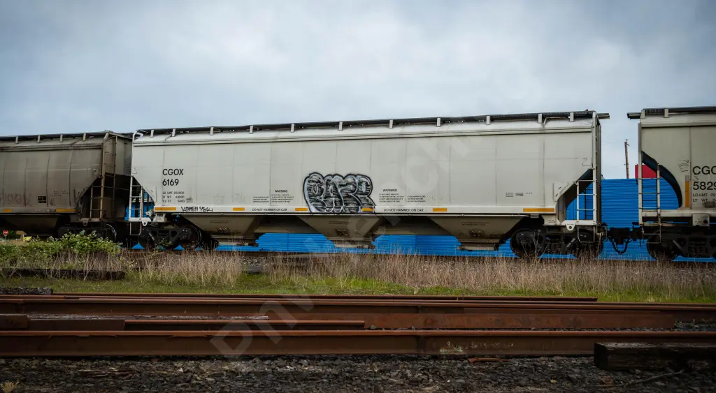CGOX6169 - NORTH-AMERICA