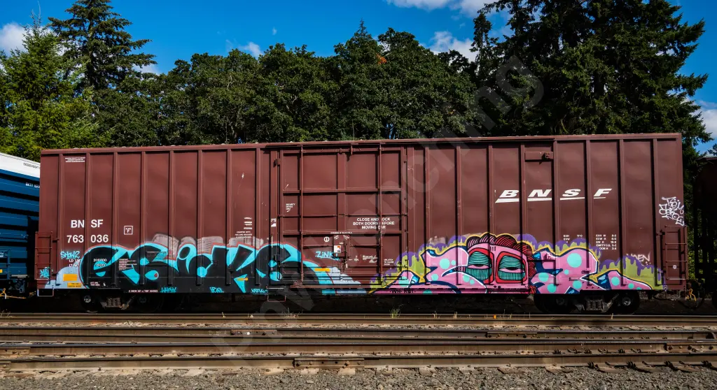 BNSF763036 - NORTH-AMERICA