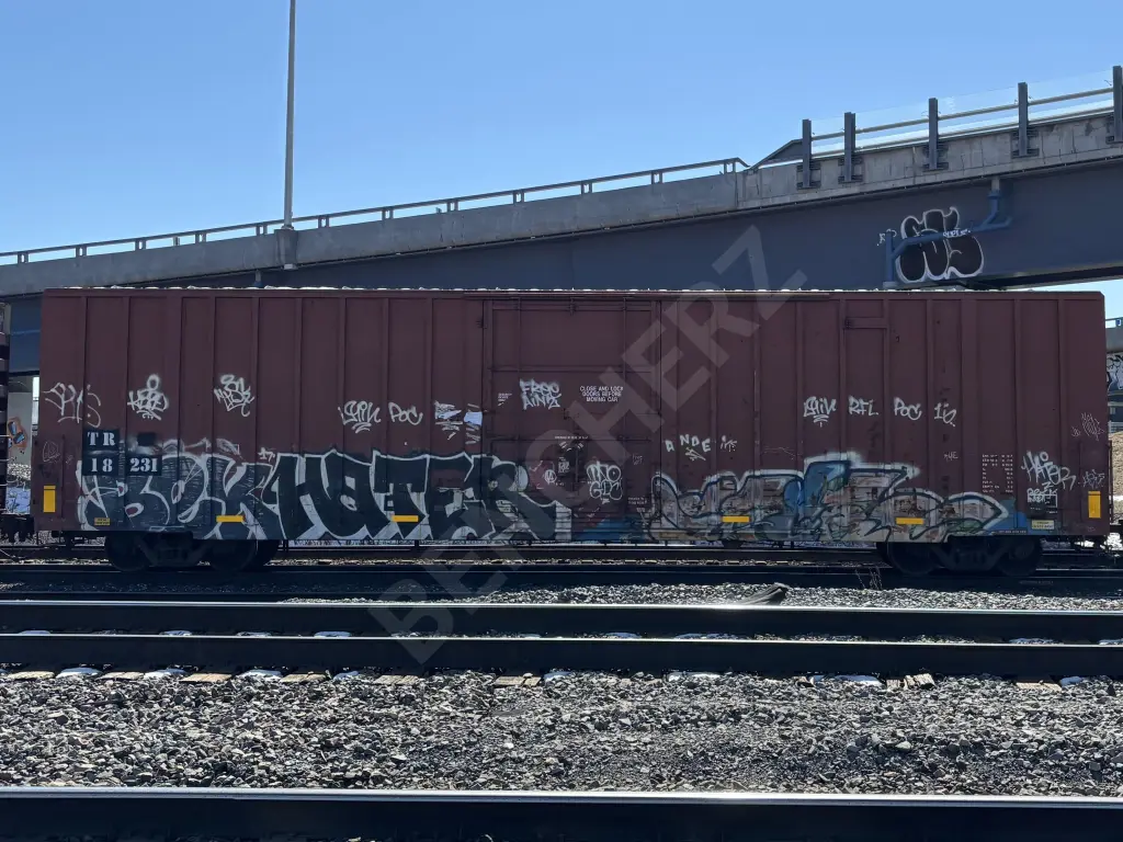 TR18231 - NORTH-AMERICA