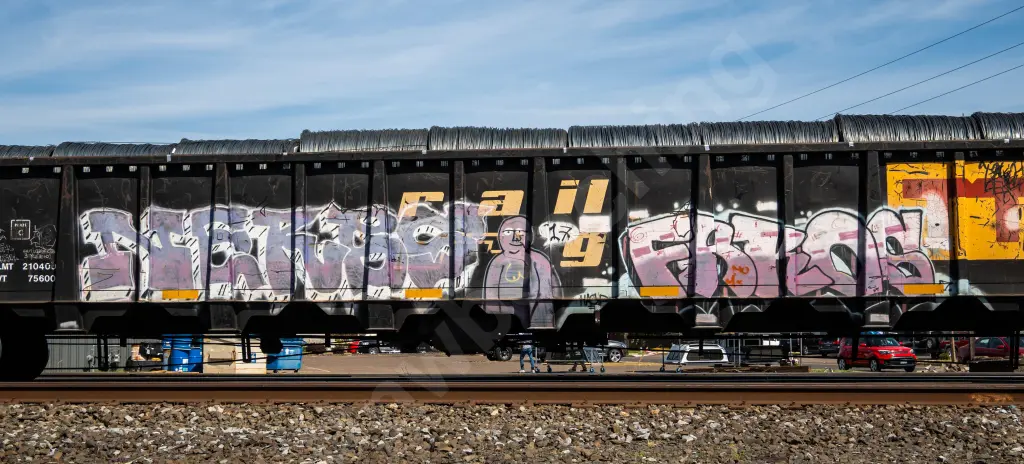 GNTX295990 - NORTH-AMERICA