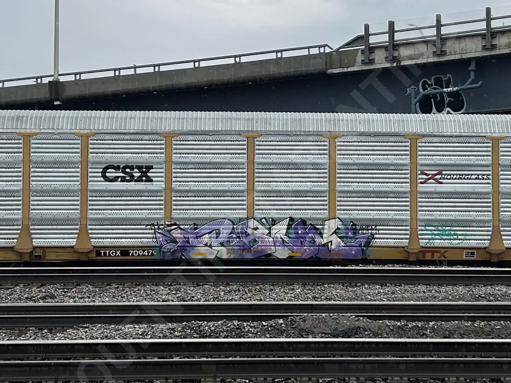 TTGX709479 - NORTH-AMERICA