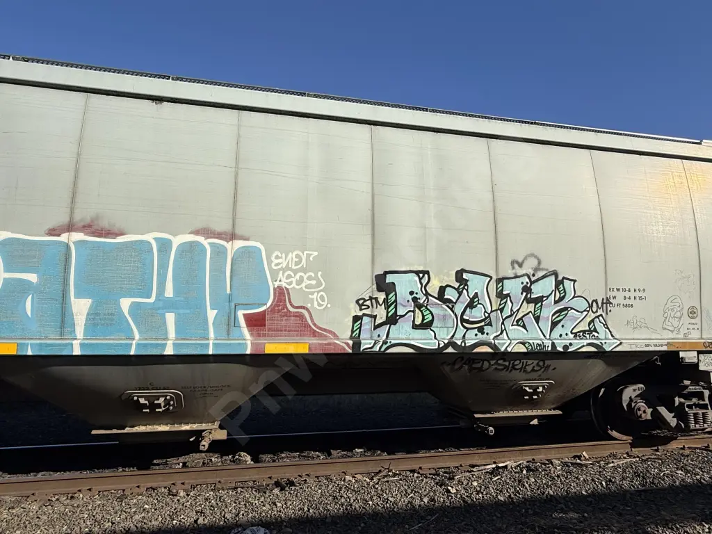CAEX581938 - NORTH-AMERICA