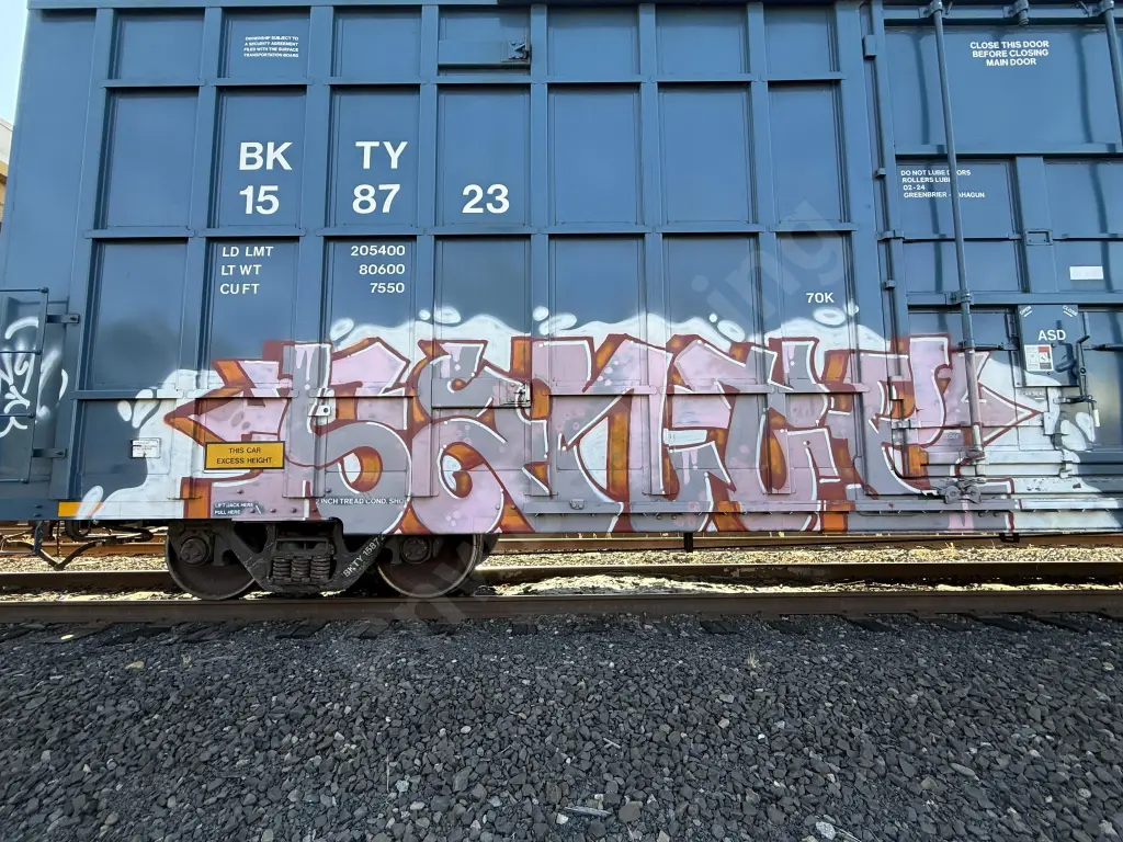 BKTY158723 - NORTH-AMERICA