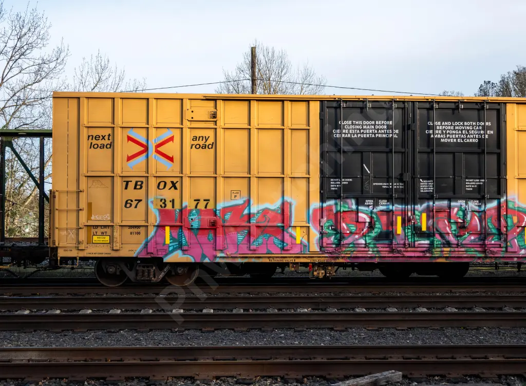 TBOX673177 - NORTH-AMERICA