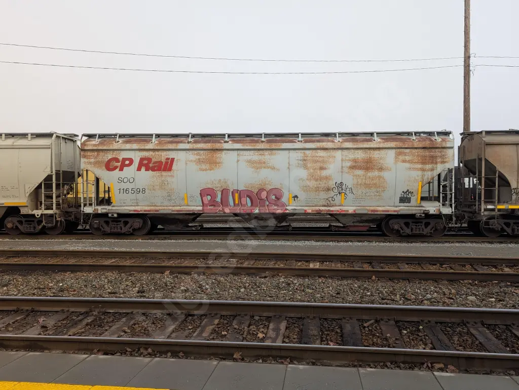 SOO116598 - NORTH-AMERICA