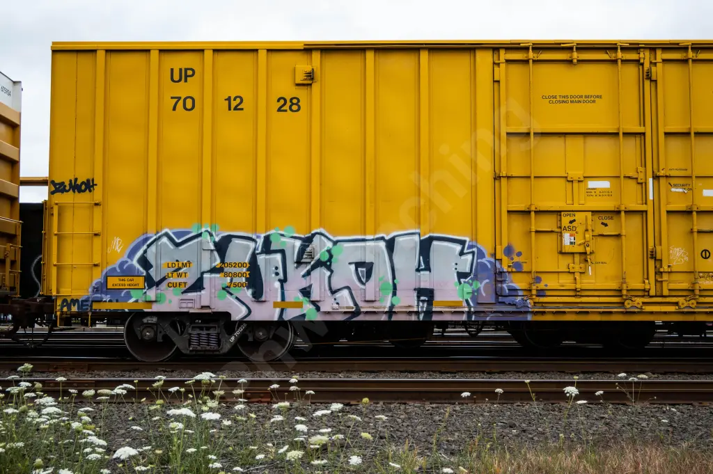 UP701228 - NORTH-AMERICA