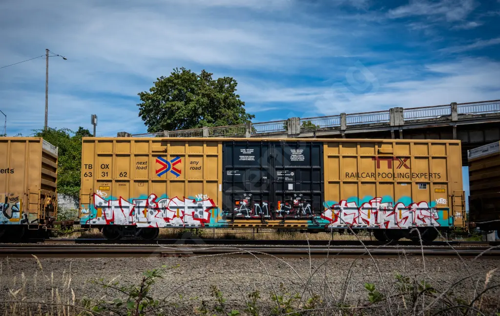 TBOX63162 - NORTH-AMERICA