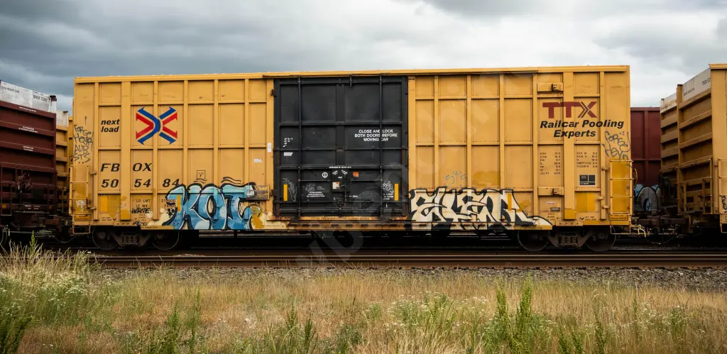 FBOX505484 - NORTH-AMERICA