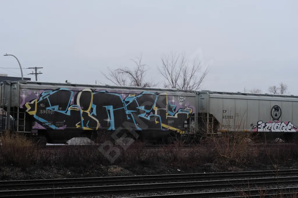CP652606 - NORTH-AMERICA