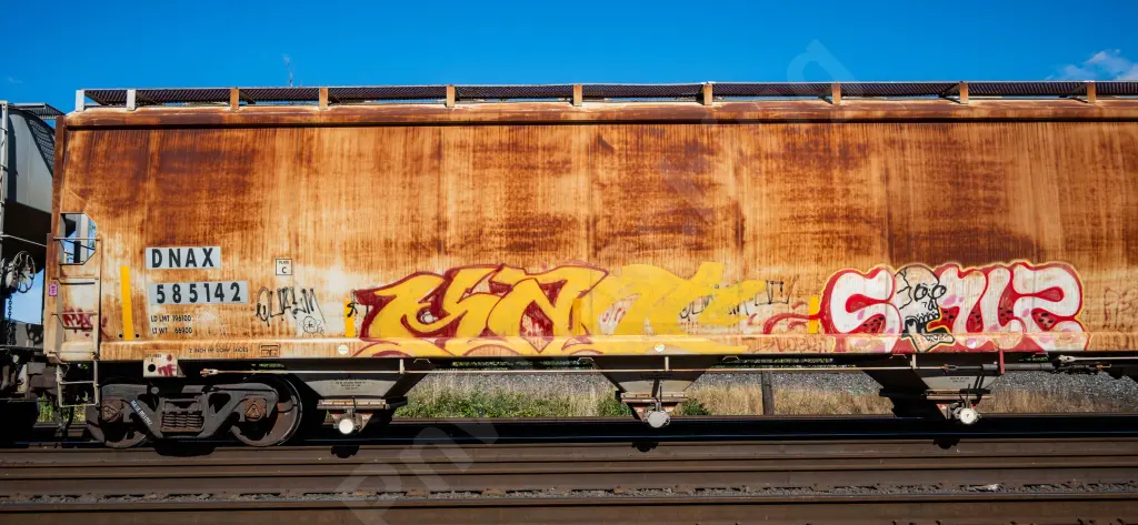 DNAX585142 - NORTH-AMERICA