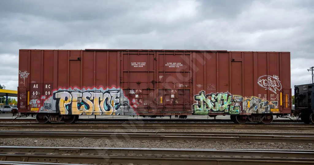 AERC6009 - NORTH-AMERICA