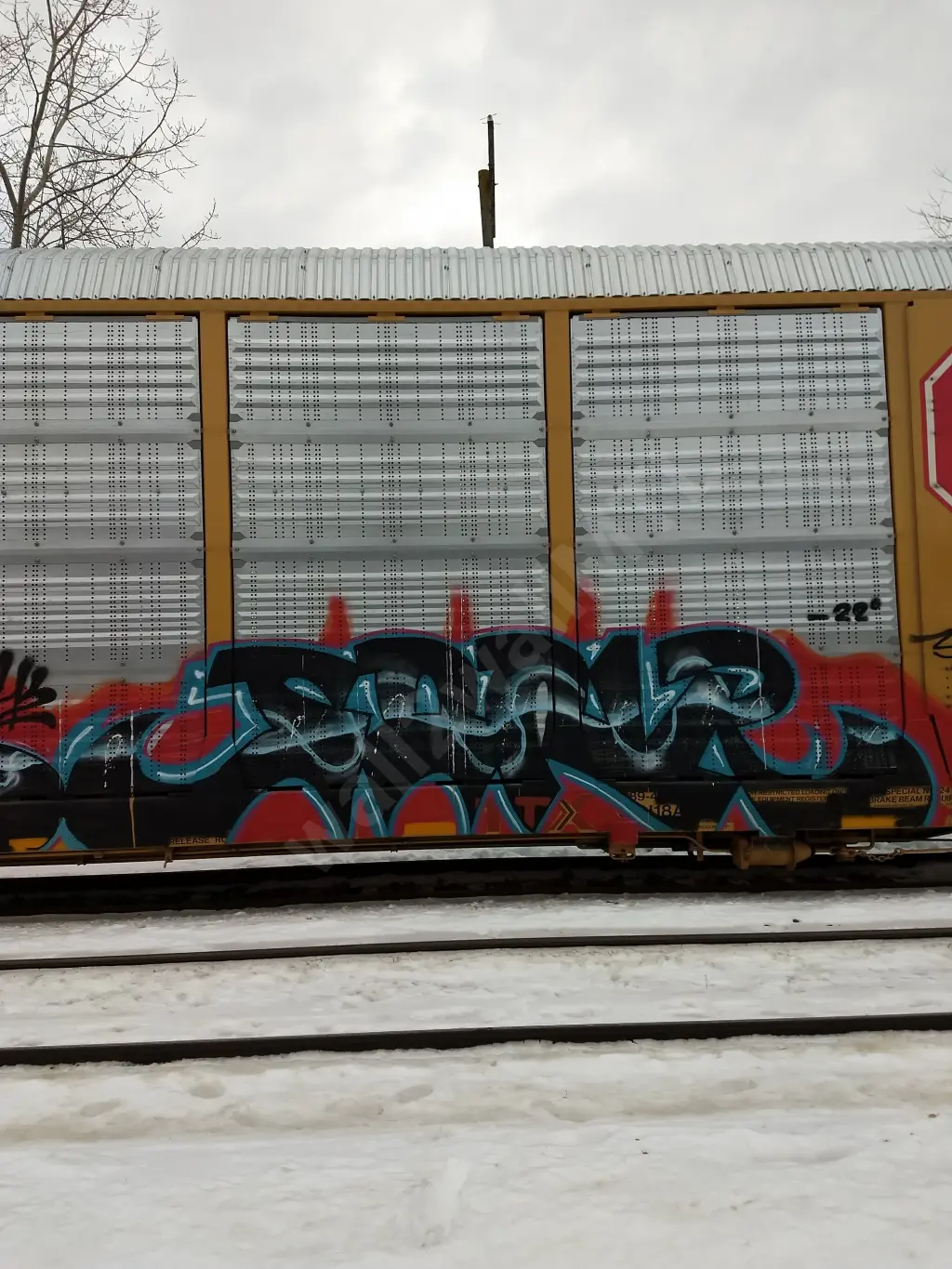 #11159 - NORTH-AMERICA