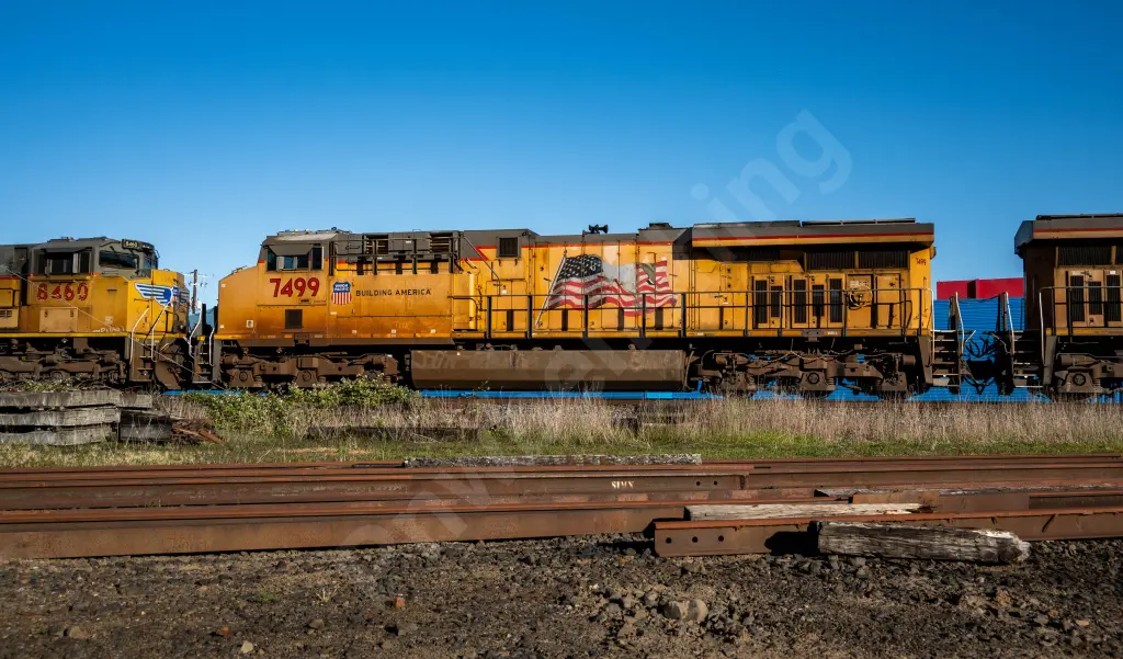 UP7499 - NORTH-AMERICA
