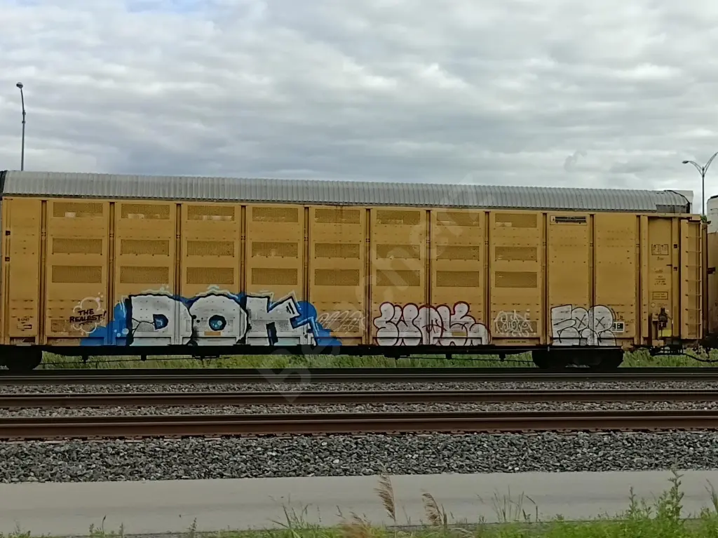 NS110563 - NORTH-AMERICA