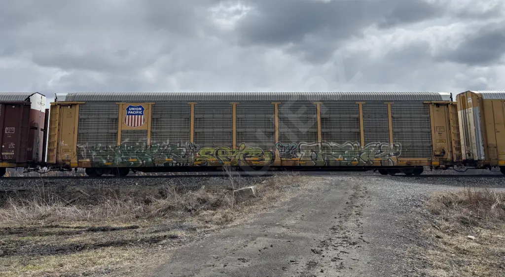 TTGX994773 - NORTH-AMERICA