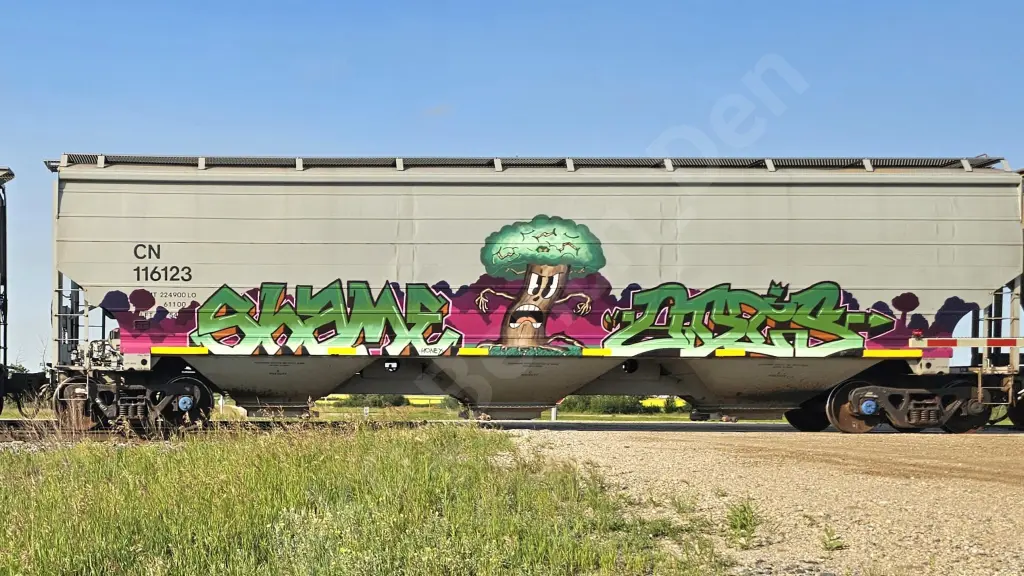 CN116123 - NORTH-AMERICA