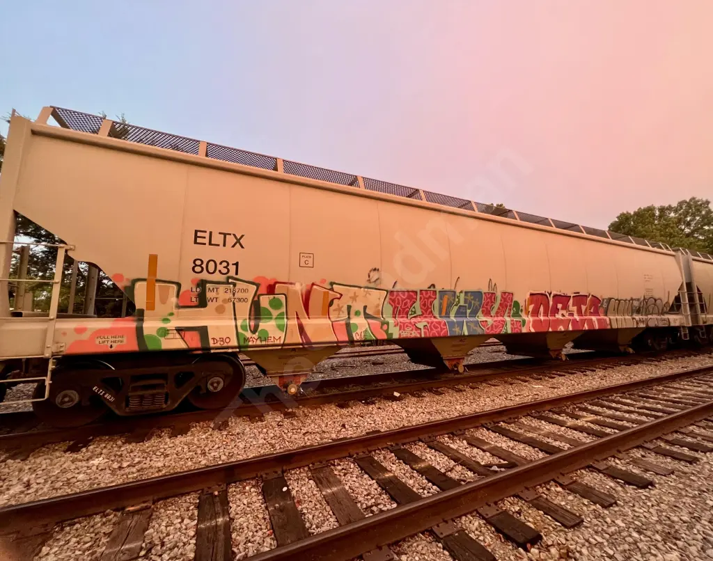 ELTX8031 - NORTH-AMERICA